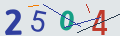 verifycode